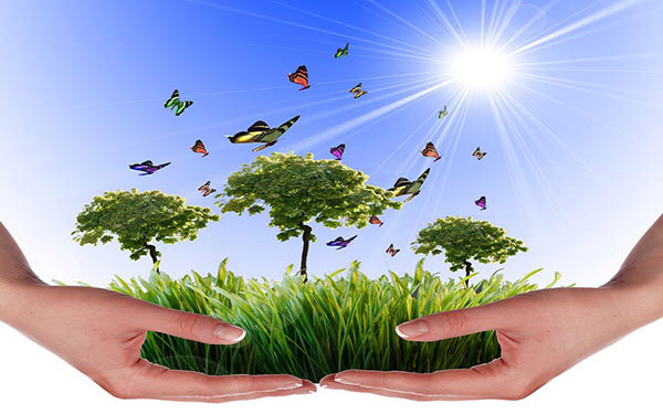 蒸汽污泥烘干機多久進行一次維護比較好 蒸汽污泥烘干機多久進行一次維護比較好